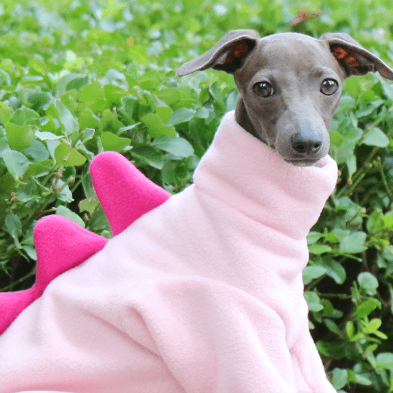 Dog Fleece Onesies Dinosaur Suits Italian Greyhound Whippet Clothes - PIKAPIKA