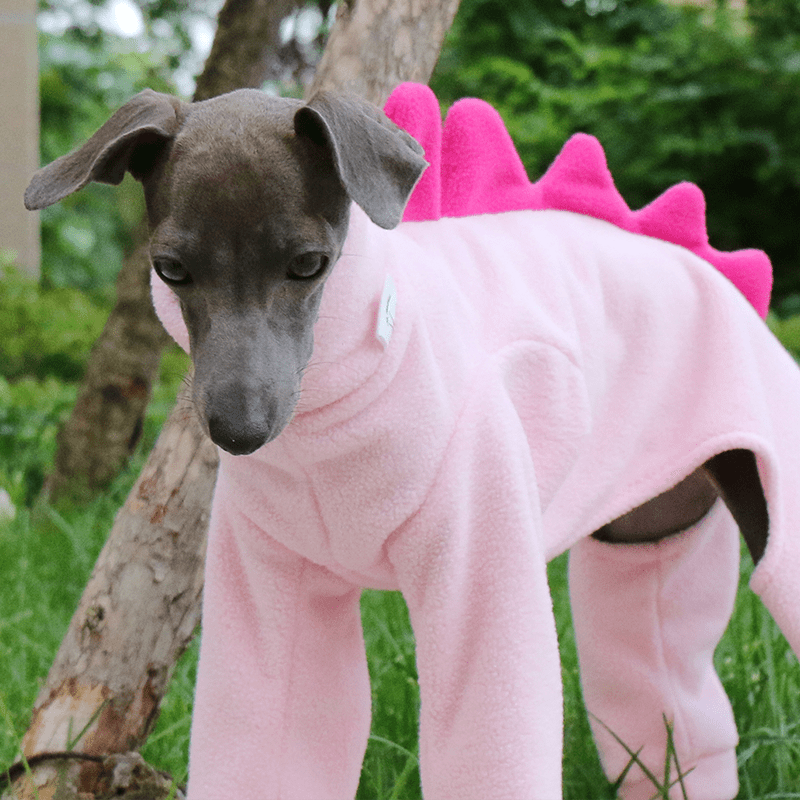 Dog Fleece Onesies Dinosaur Suits Italian Greyhound Whippet Clothes - PIKAPIKA