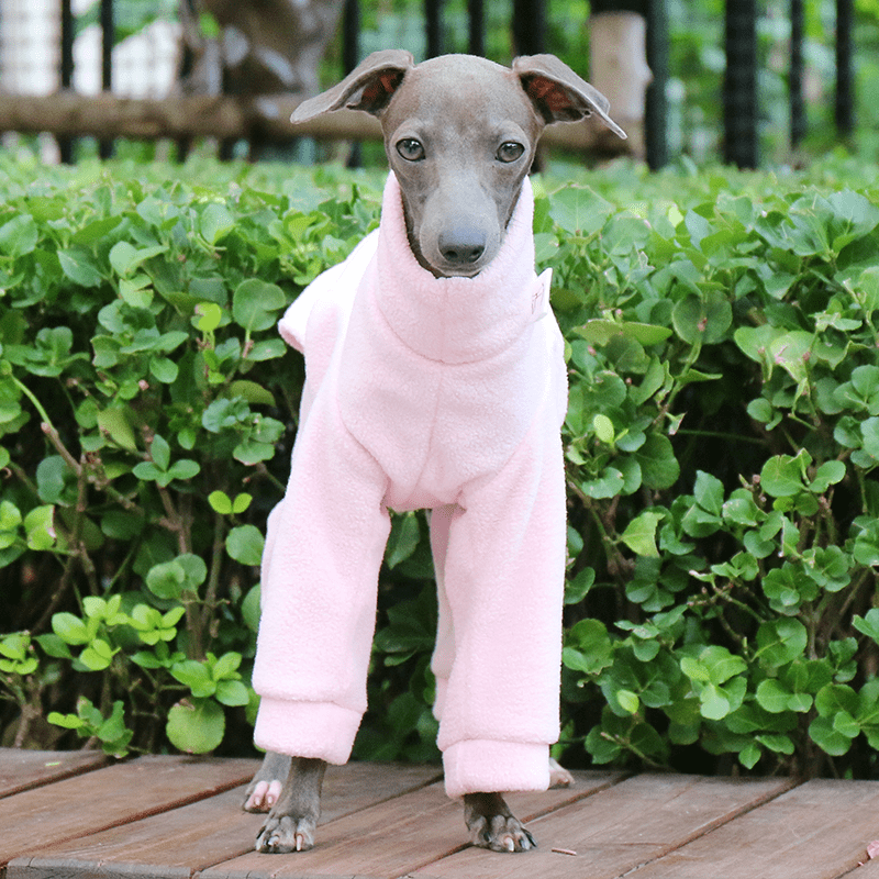 Dog Fleece Onesies Dinosaur Suits Italian Greyhound Whippet Clothes - PIKAPIKA