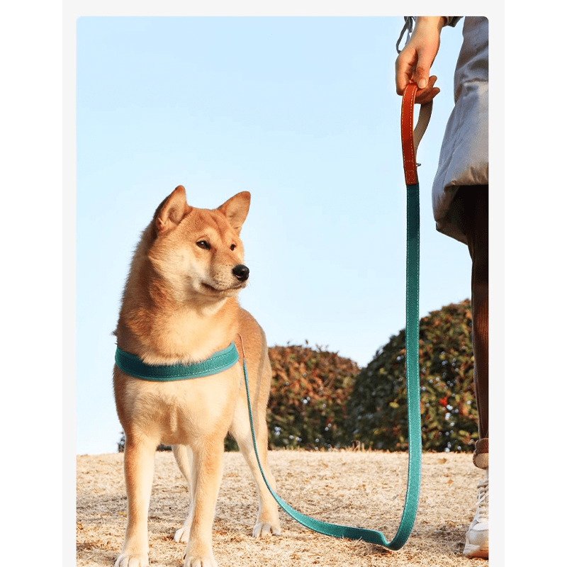 Dog Harness Vest No - Pull Custom ID Tag with Leashes - PIKAPIKA