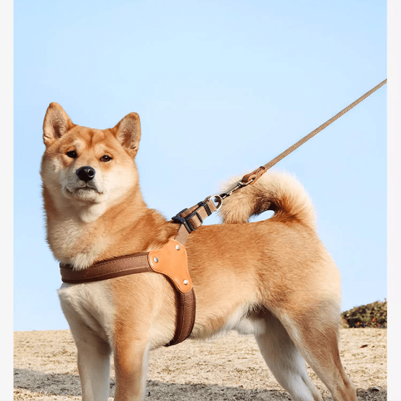 Dog Harness Vest No - Pull Custom ID Tag with Leashes - PIKAPIKA