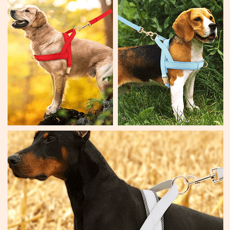 Dog Harness Vest Set Adjustable No - Choke with Leash - PIKAPIKA