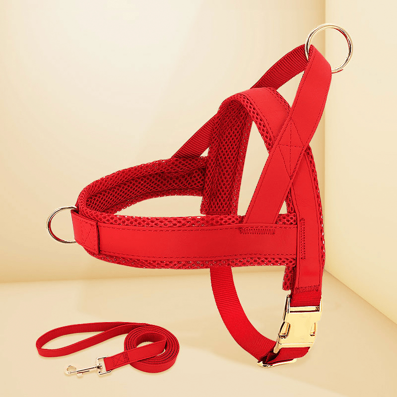 Dog Harness Vest Set Adjustable No - Choke with Leash - PIKAPIKA