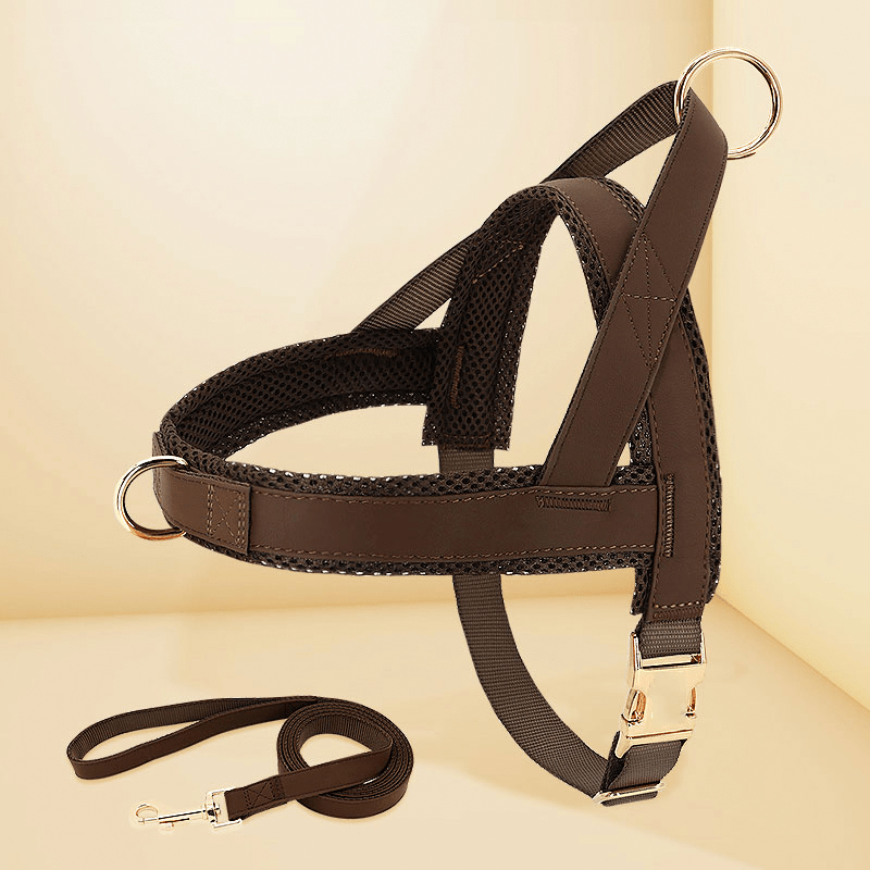 Dog Harness Vest Set Adjustable No - Choke with Leash - PIKAPIKA