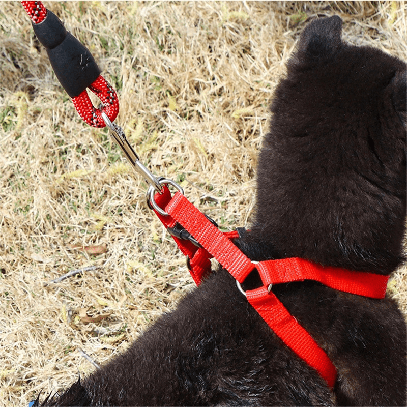 Dog Harness Vest - Style Collar for Walking - PIKAPIKA