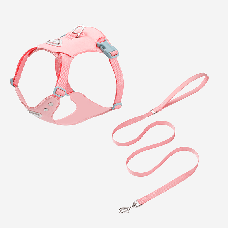 Dog Harness with Leash Vest Style Walking Set for Small Medium Dogs - PIKAPIKA