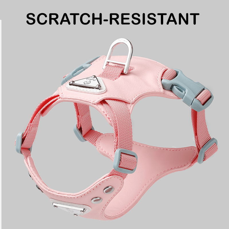 Dog Harness with Leash Vest Style Walking Set for Small Medium Dogs - PIKAPIKA