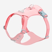 Dog Harness with Leash Vest Style Walking Set for Small Medium Dogs - PIKAPIKA