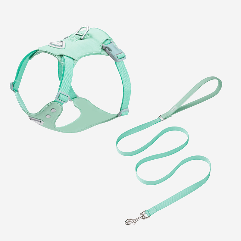 Dog Harness with Leash Vest Style Walking Set for Small Medium Dogs - PIKAPIKA