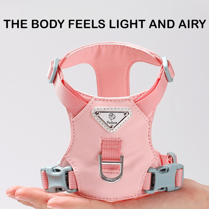 Dog Harness with Leash Vest Style Walking Set for Small Medium Dogs - PIKAPIKA