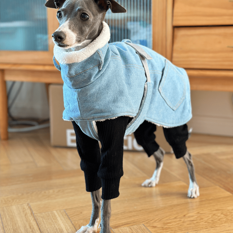 Dog Jacket Denim Coat Fleece Lining for Italian Greyhound Whippet Clothes - PIKAPIKA