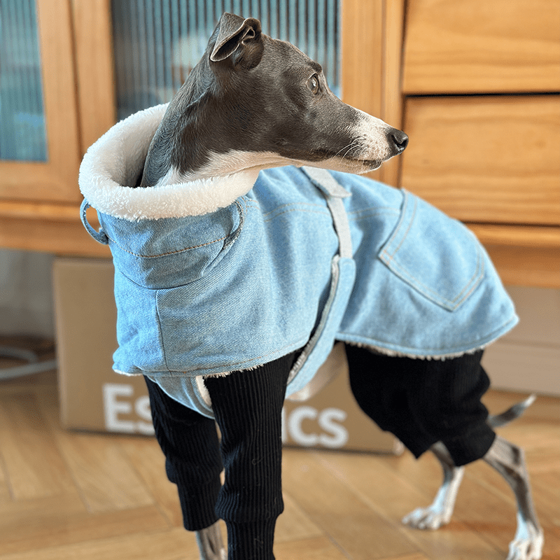 Dog Jacket Denim Coat Fleece Lining for Italian Greyhound Whippet Clothes - PIKAPIKA