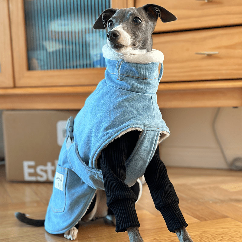 Dog Jacket Denim Coat Fleece Lining for Italian Greyhound Whippet Clothes - PIKAPIKA