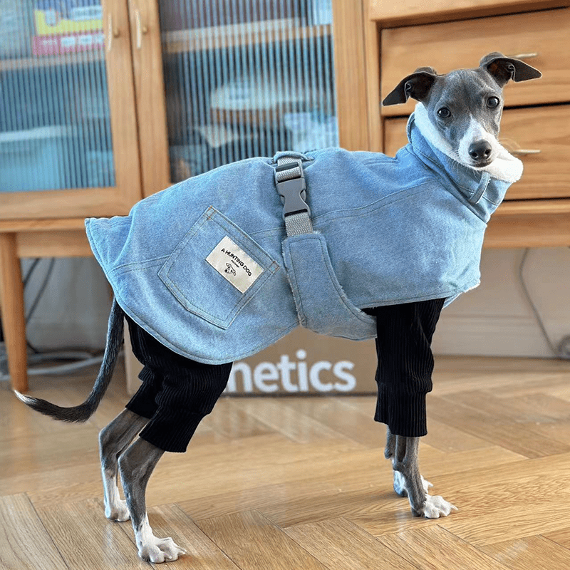 Dog Jacket Denim Coat Fleece Lining for Italian Greyhound Whippet Clothes - PIKAPIKA