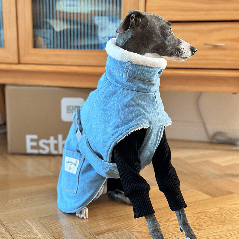 Dog Jacket Denim Coat Fleece Lining for Italian Greyhound Whippet Clothes - PIKAPIKA