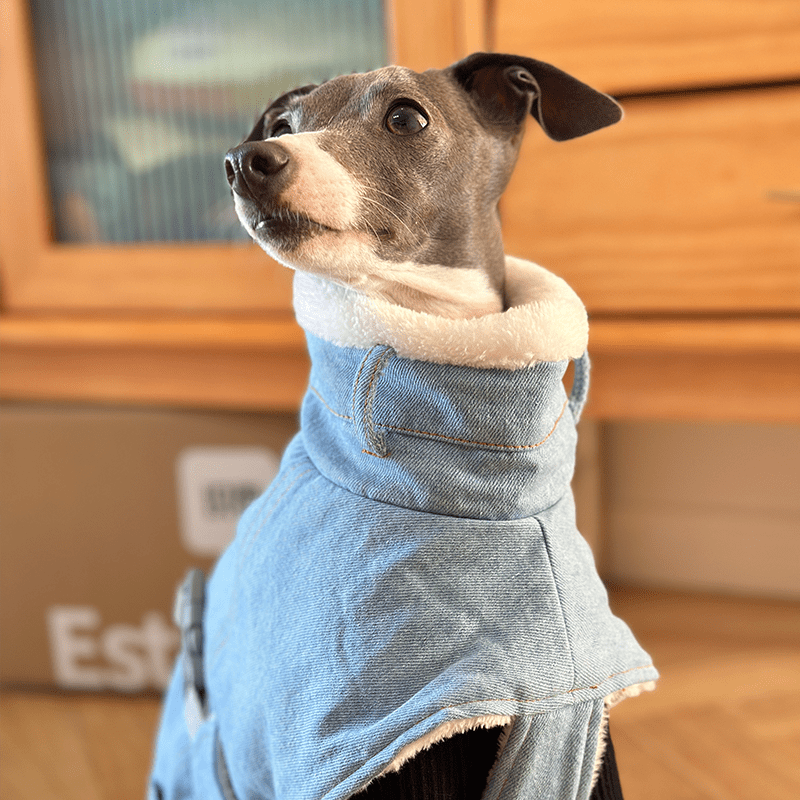 Dog Jacket Denim Coat Fleece Lining for Italian Greyhound Whippet Clothes - PIKAPIKA