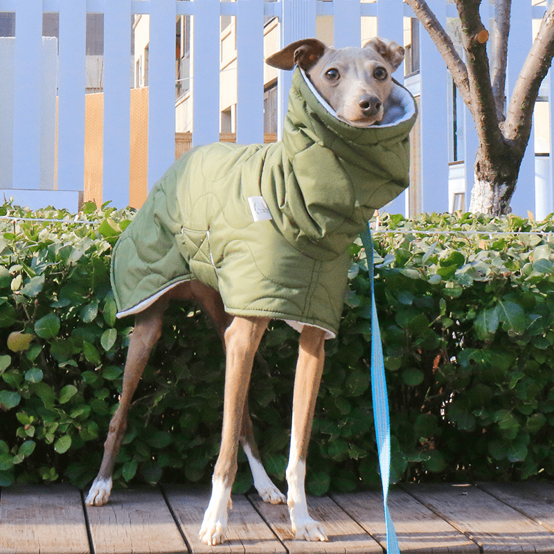 Dog Jacket Padded Coat Belly Protective for Italian Greyhound Whippet Clothes Green - PIKAPIKA