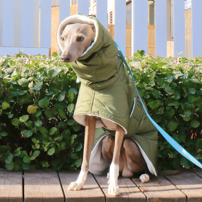 Dog Jacket Padded Coat Belly Protective for Italian Greyhound Whippet Clothes Green - PIKAPIKA