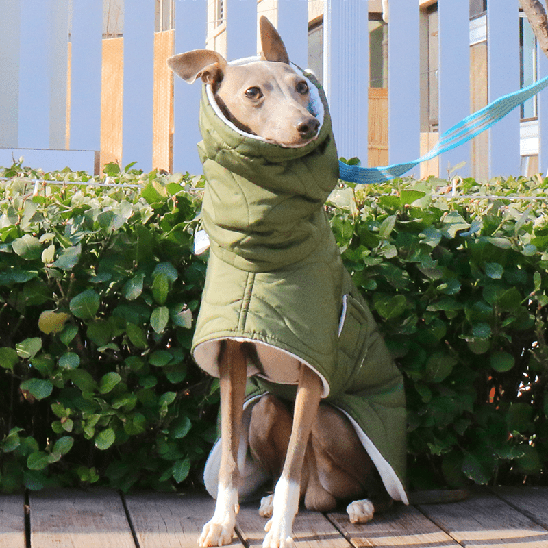 Dog Jacket Padded Coat Belly Protective for Italian Greyhound Whippet Clothes Green - PIKAPIKA