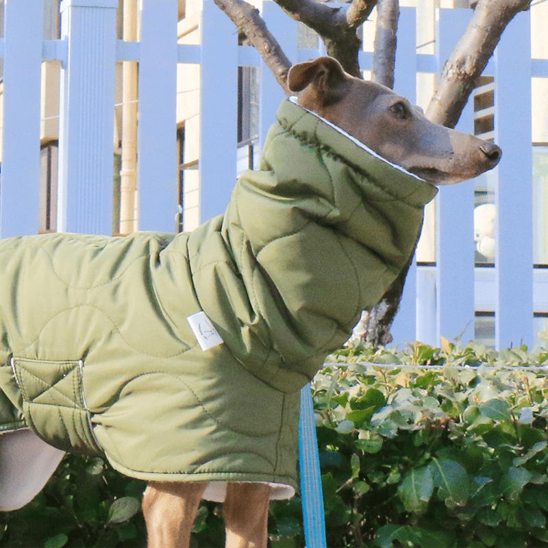 Dog Jacket Padded Coat Belly Protective for Italian Greyhound Whippet Clothes Green - PIKAPIKA