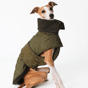 Dog Jacket Padded Quilting Coat for Italian Greyhound Whippet Clothes - PIKAPIKA