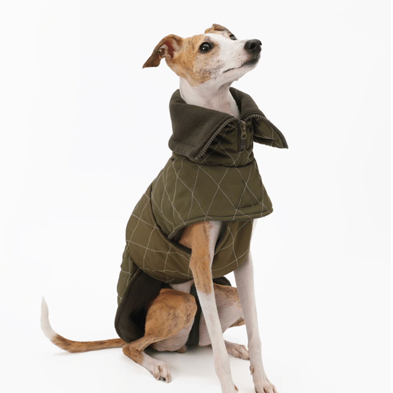 Dog Jacket Padded Quilting Coat for Italian Greyhound Whippet Clothes - PIKAPIKA