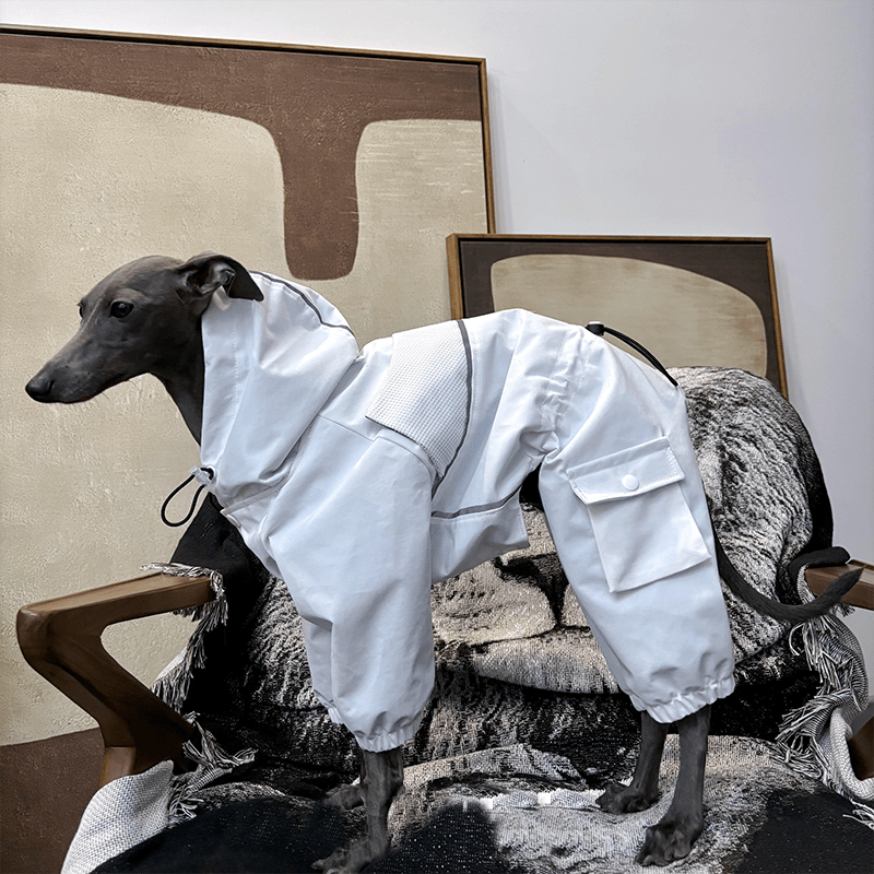 Dog Jacket Ski Wear Snowsuits for Big Dog Clothes - PIKAPIKA