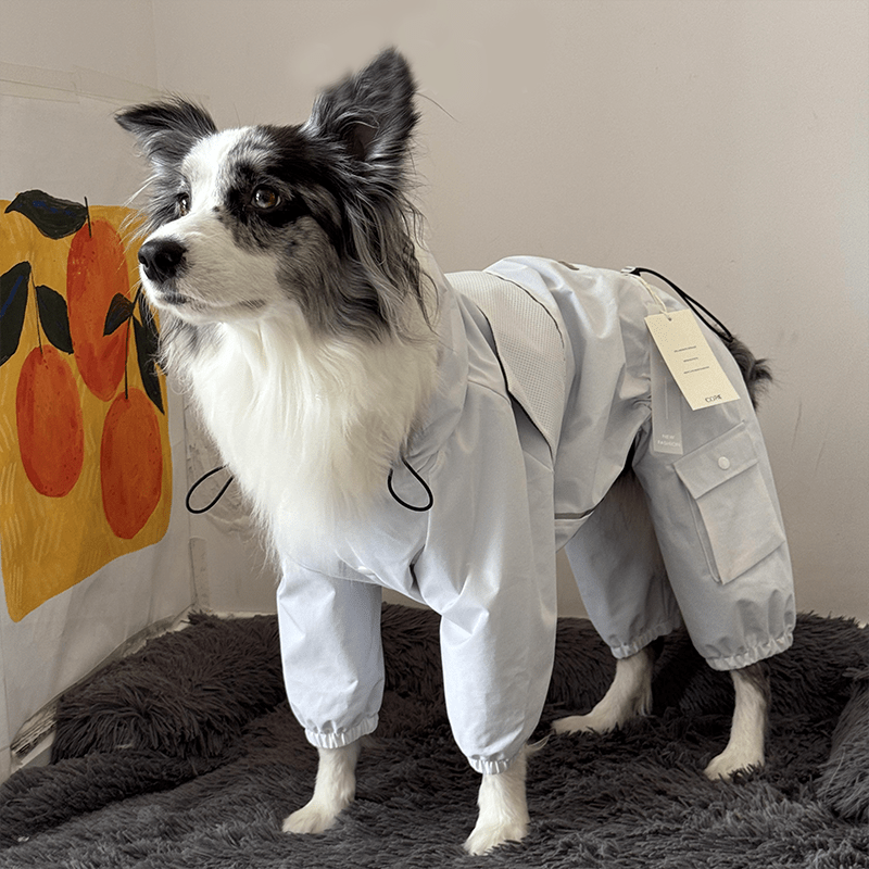 Dog Jacket Ski Wear Snowsuits for Big Dog Italian Greyhound Whippet Clothes - PIKAPIKA