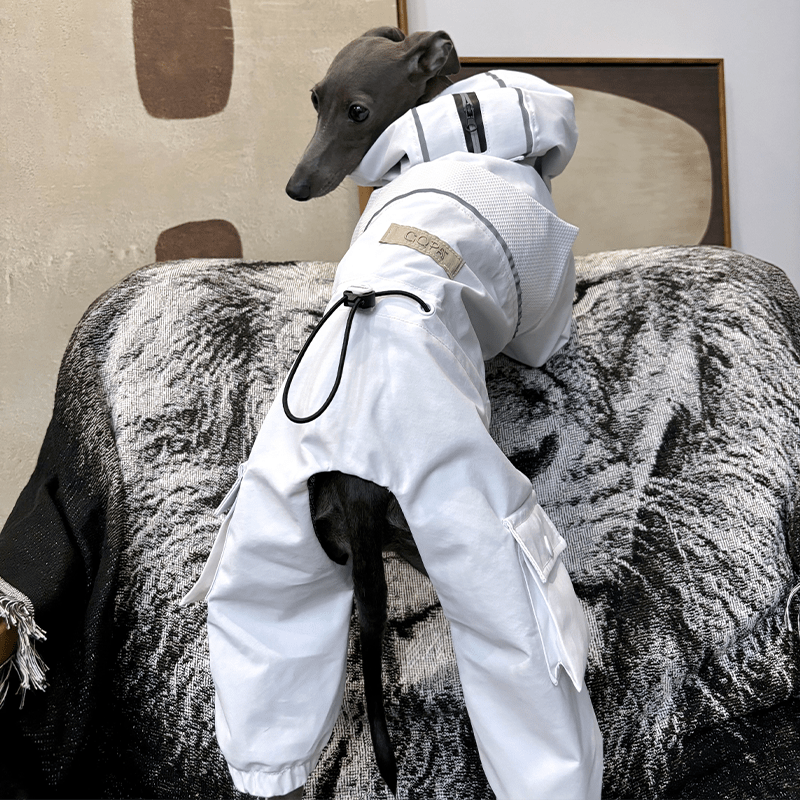 Dog Jacket Ski Wear Snowsuits for Big Dog Italian Greyhound Whippet Clothes - PIKAPIKA