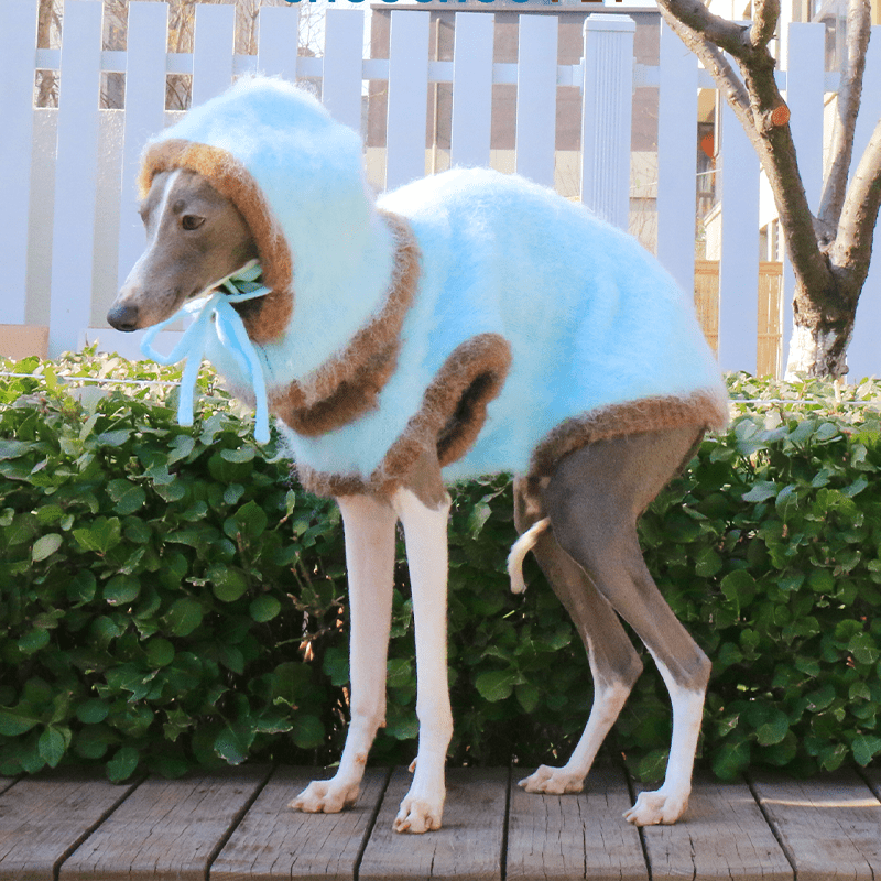 Dog Jumper Knit Plush Sweater for Italian Greyhound Clothes with Hat - PIKAPIKA