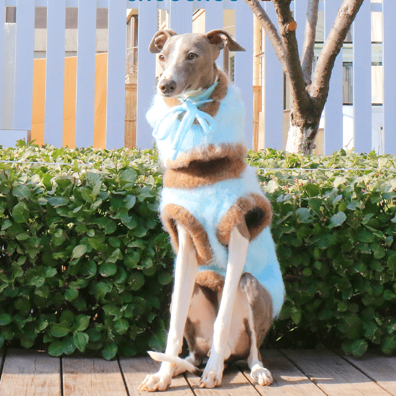 Dog Jumper Knit Plush Sweater for Italian Greyhound Clothes with Hat - PIKAPIKA