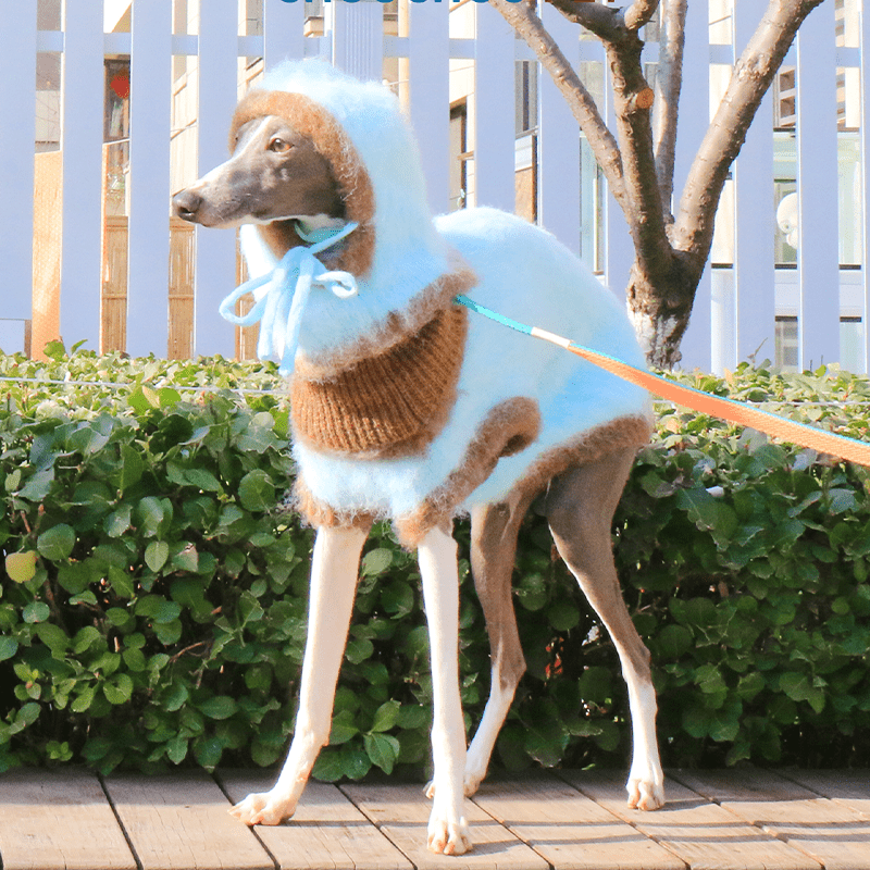 Dog Jumper Knit Plush Sweater for Italian Greyhound Clothes with Hat - PIKAPIKA