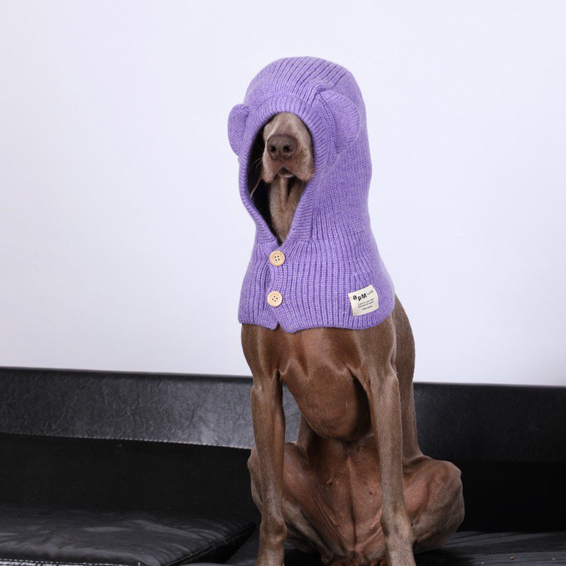 Dog Knit Hat Winter Collar Ear Warm Protect - PIKAPIKA