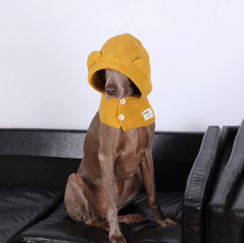 Dog Knit Hat Winter Collar Ear Warm Protect - PIKAPIKA