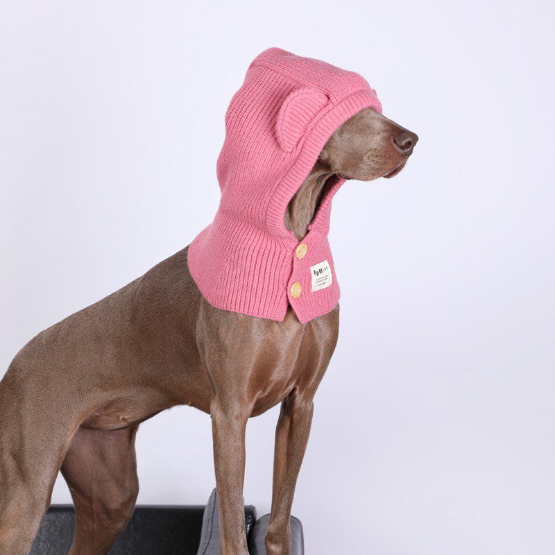 Dog Knit Hat Winter Collar Ear Warm Protect - PIKAPIKA