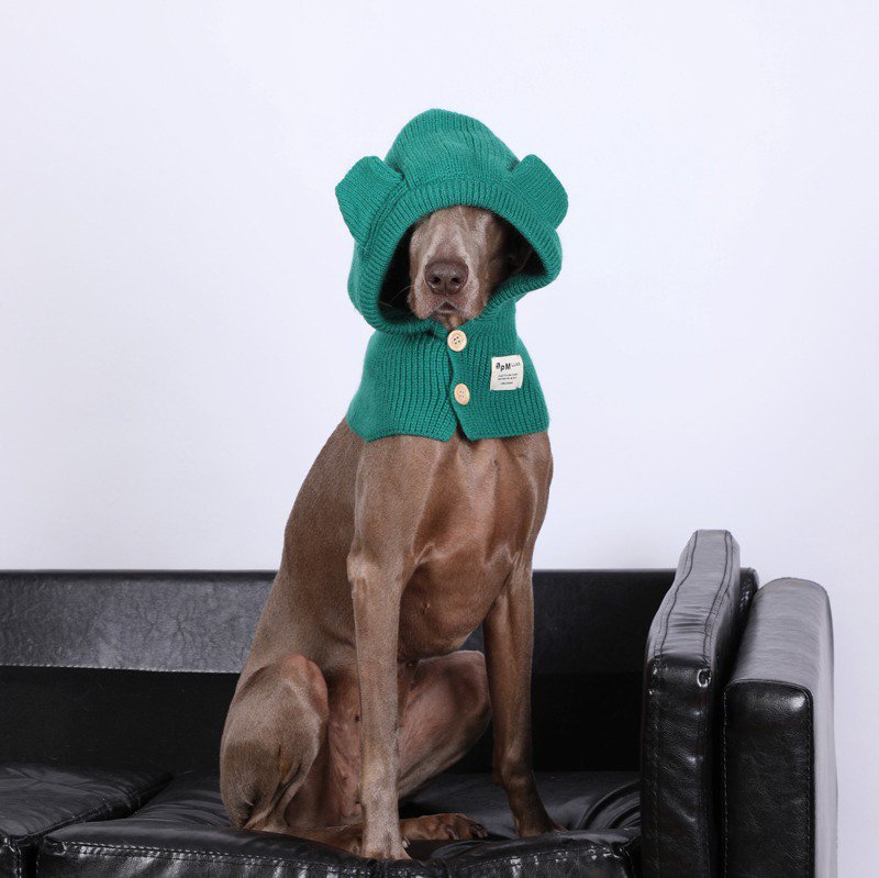 Dog Knit Hat Winter Collar Ear Warm Protect - PIKAPIKA