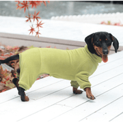 Dog Onesies Cotton Fleece Dachshund Clothes Green - PIKAPIKA