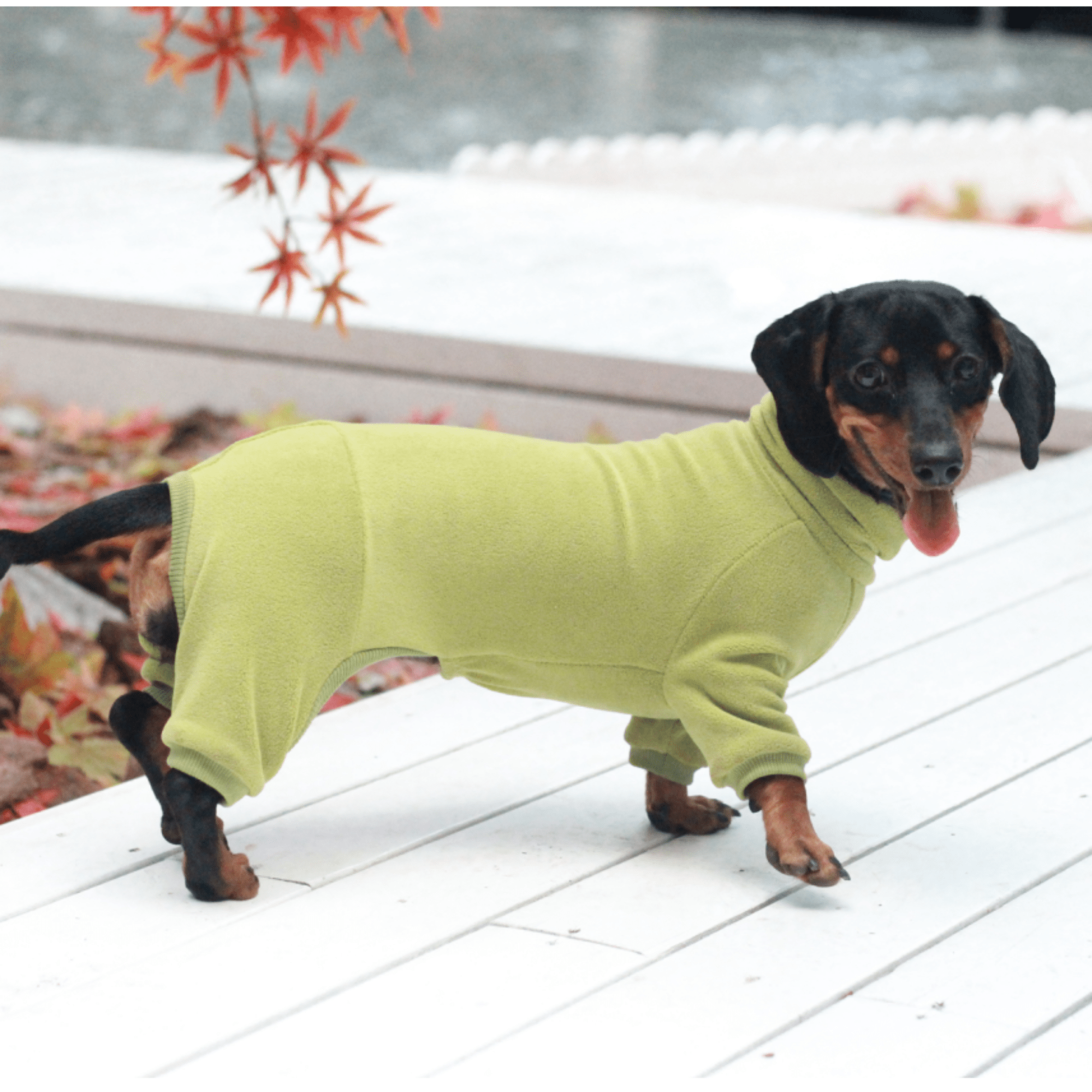 Dog Onesies Cotton Fleece Dachshund Clothes Green - PIKAPIKA