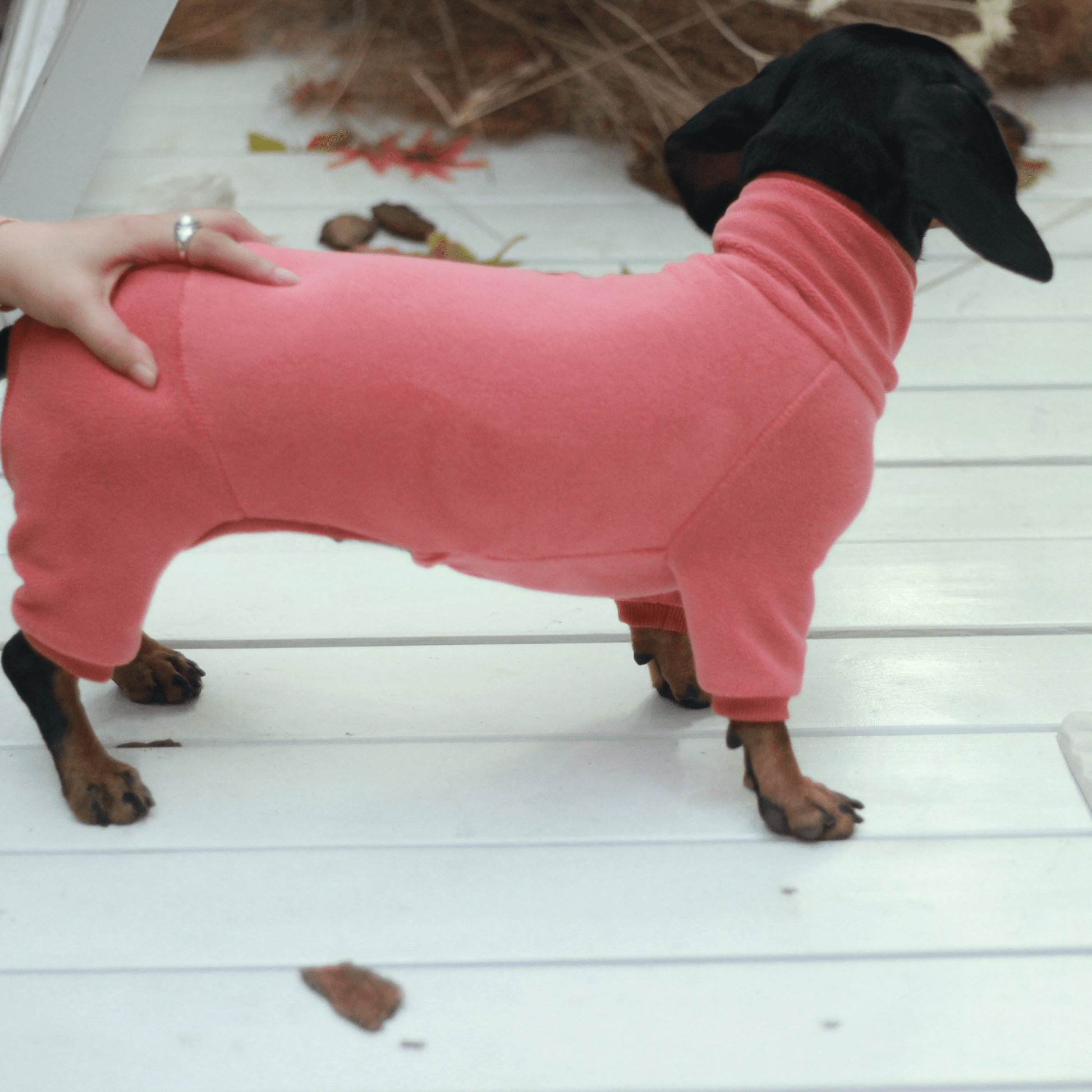 Dog Onesies Cotton Fleece Dachshund Clothes Red - PIKAPIKA