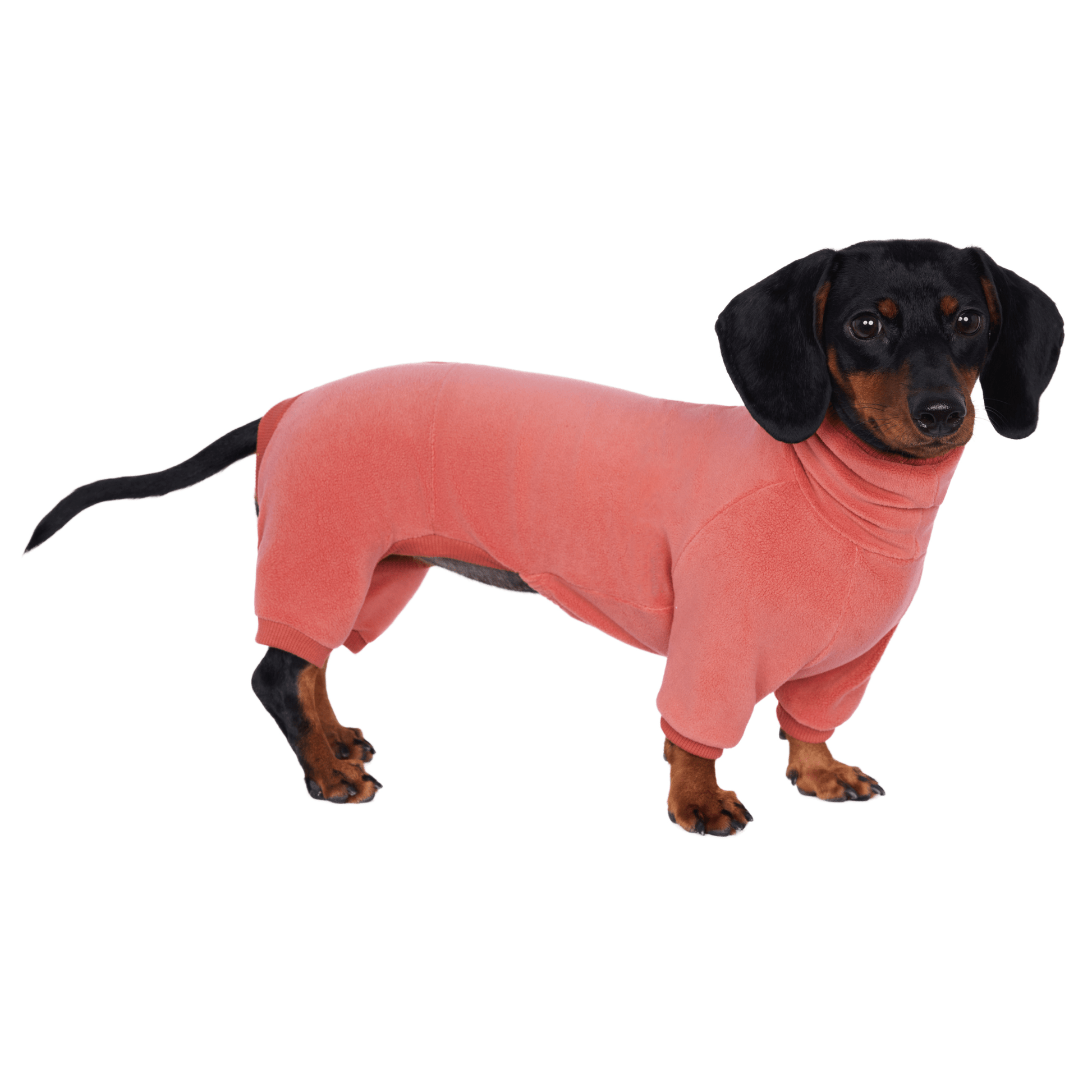 Dog Onesies Cotton Fleece Dachshund Clothes Red - PIKAPIKA