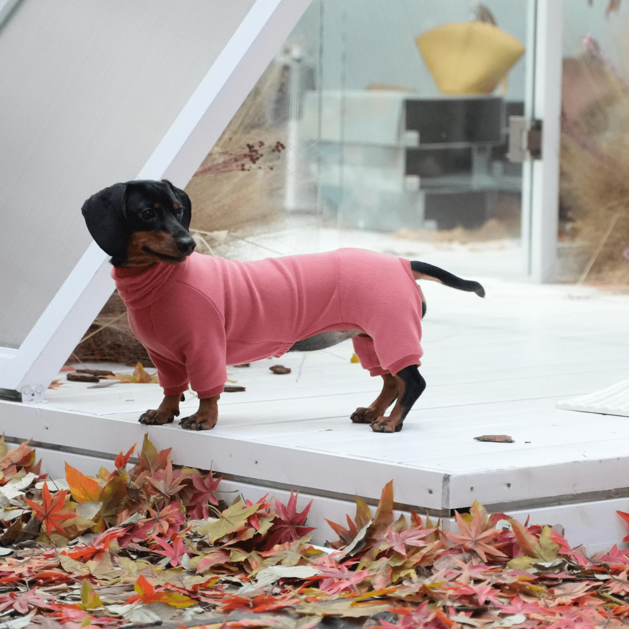 Dog Onesies Cotton Fleece Dachshund Clothes Red - PIKAPIKA