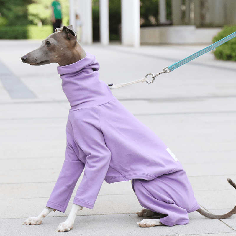 Dog Onesies Cotton Pajamas Clothes for Italian Greyhound Whippet Clothing - PIKAPIKA