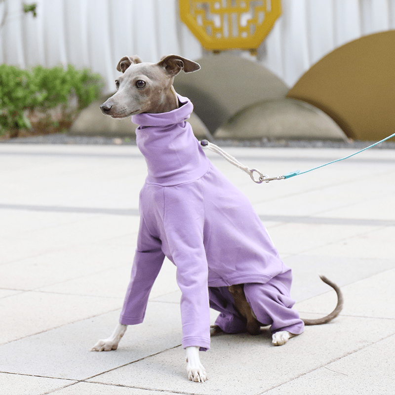 Dog Onesies Cotton Pajamas Clothes for Italian Greyhound Whippet Clothing - PIKAPIKA