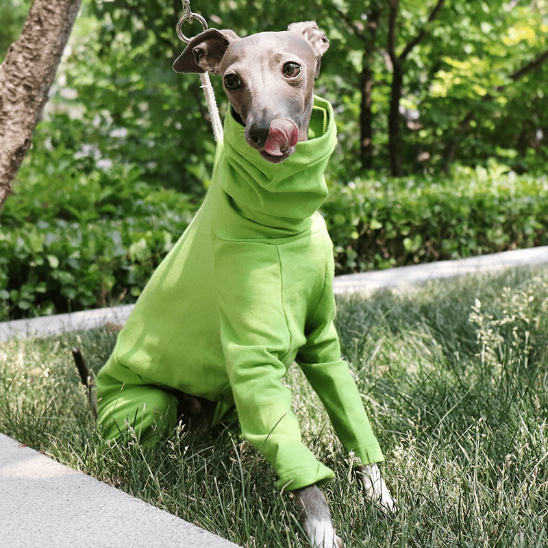 Dog Onesies Cotton Pajamas Clothes for Italian Greyhound Whippet Green - PIKAPIKA