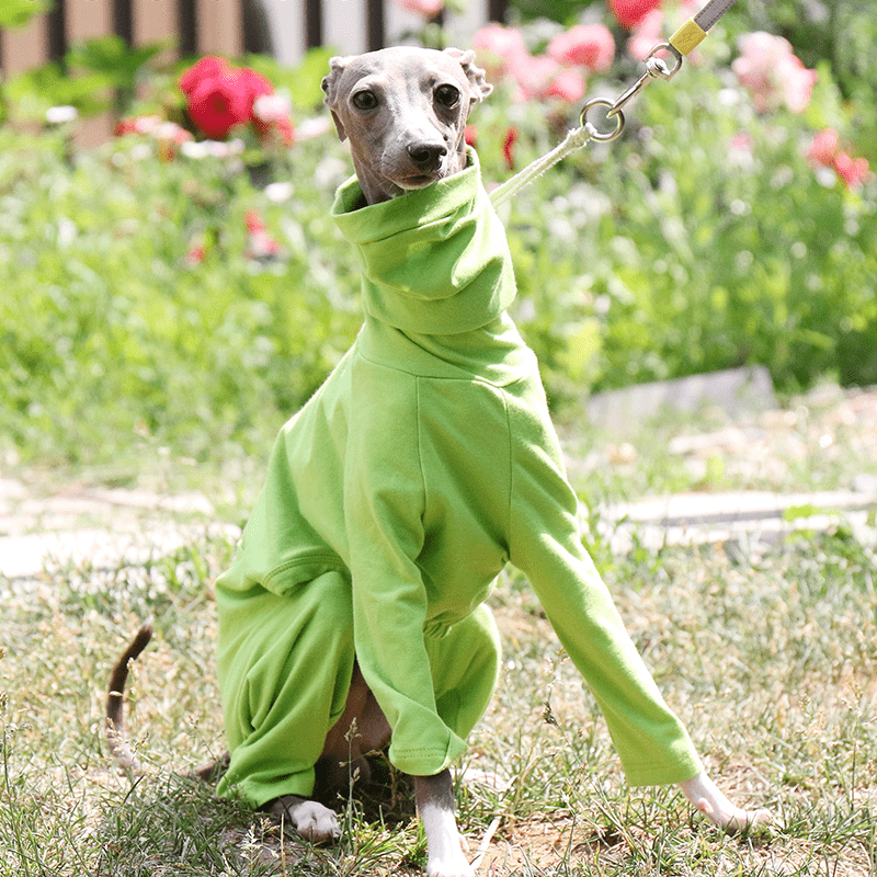 Dog Onesies Cotton Pajamas Clothes for Italian Greyhound Whippet Green - PIKAPIKA