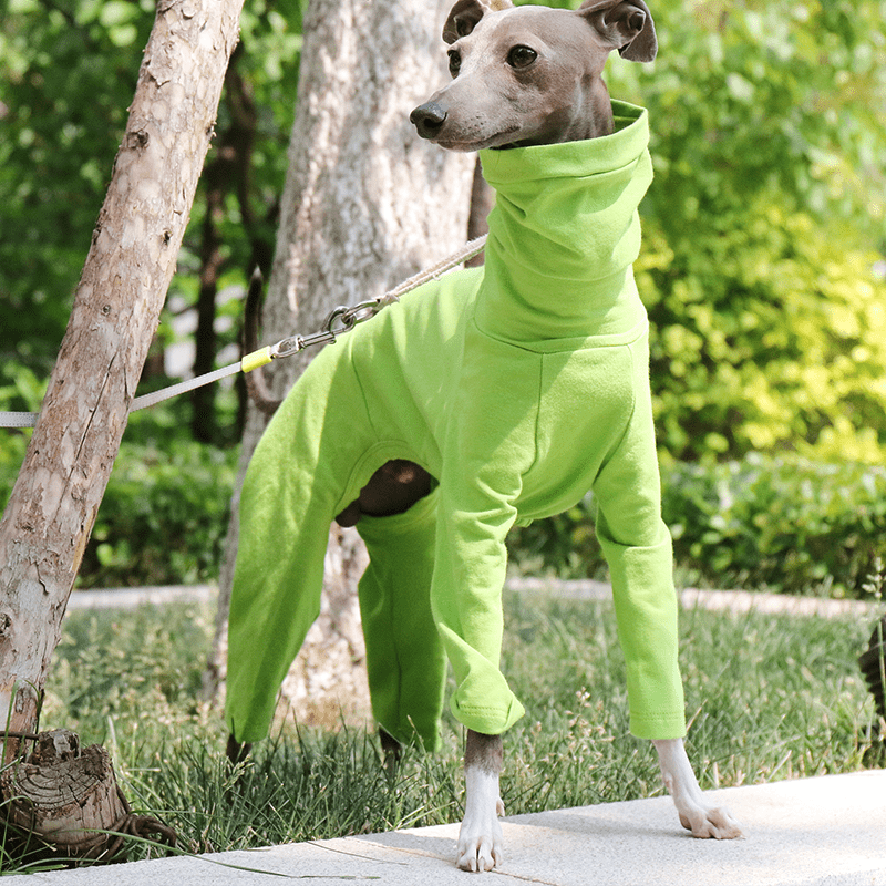Dog Onesies Cotton Pajamas Clothes for Italian Greyhound Whippet Green - PIKAPIKA