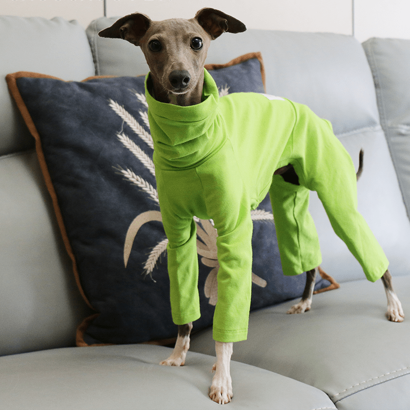 Dog Onesies Cotton Pajamas Clothes for Italian Greyhound Whippet Green - PIKAPIKA
