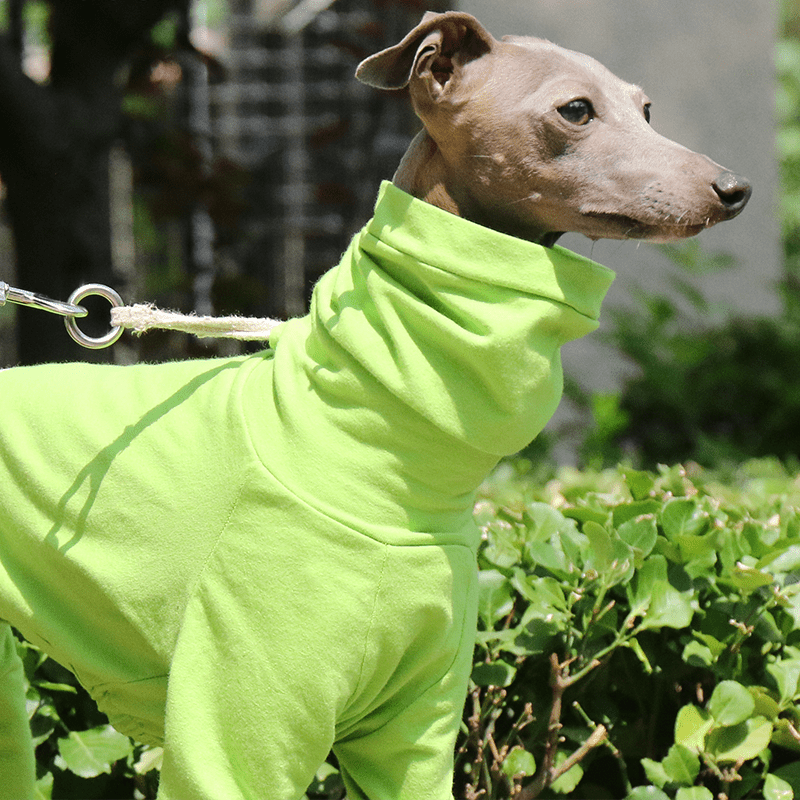 Dog Onesies Cotton Pajamas Clothes for Italian Greyhound Whippet Green - PIKAPIKA