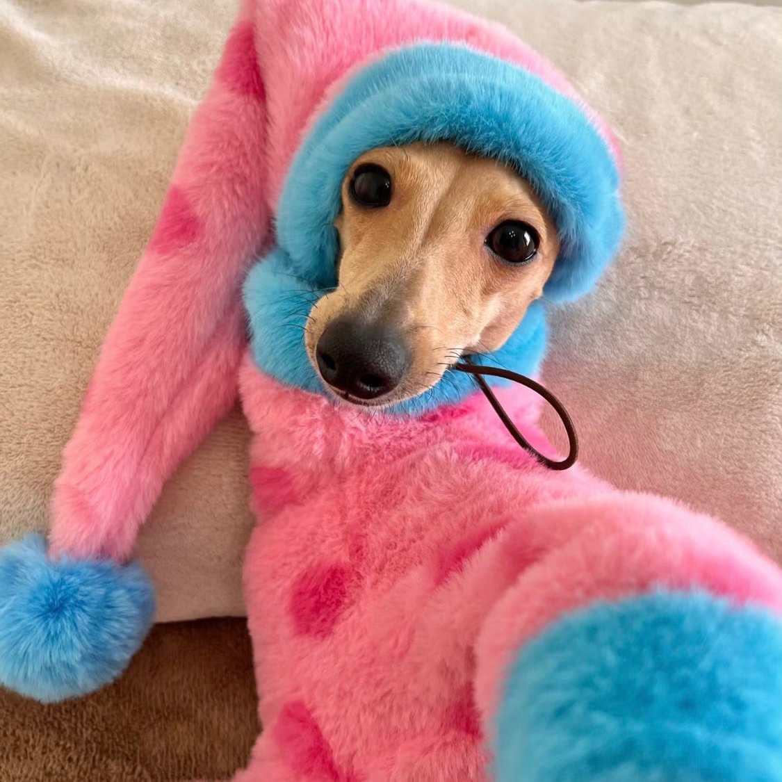 Dog Onesies Fleece Italian Greyhound Clothes Turtleneck Faux Fur Dot - PIKAPIKA