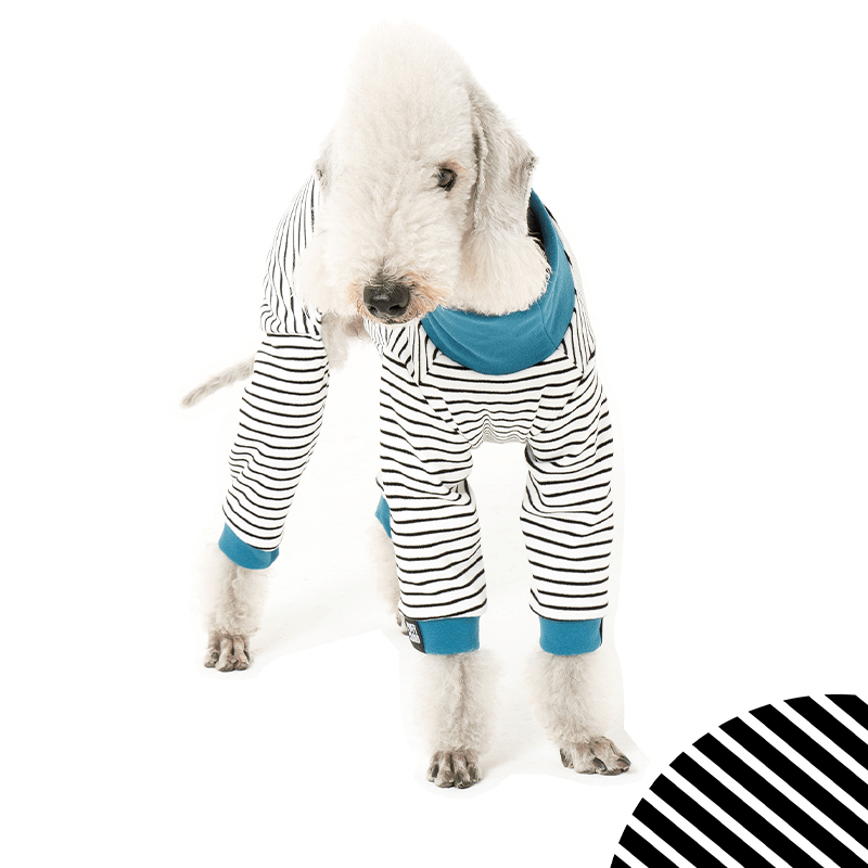 Dog Onesies Stripe Cotton Bedlington Dog Clothes - PIKAPIKA
